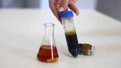 SİVAS'TA YAPILAN ÇALIŞMALAR VE ARAŞTIRMALAR NETİCESİNDE PROPOLİSİN, MAYMUN ÇİÇEĞİ VİRÜSÜNE