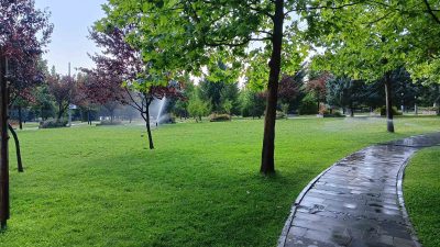 ANKARA’DA YAŞLI BİR KİŞİ, DİNLENMEK İÇİN GELDİĞİ PARKTA SAHİPSİZ BİR