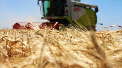 TÜRKİYE’NİN TAHIL AMBARI OLARAK BİLİNEN KONYA OVASINDA YAKLAŞIK 19 MİLYON