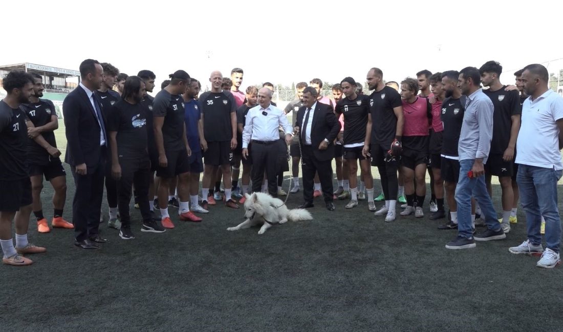 BÜYÜKÇEKMECE BELEDİYESİ TARAFINDAN BARINAKLARINDAKİ SAHİPSİZ SOKAK KÖPEKLERİ SAHİPLENDİRME SEFERBERLİĞİNE İLGİ