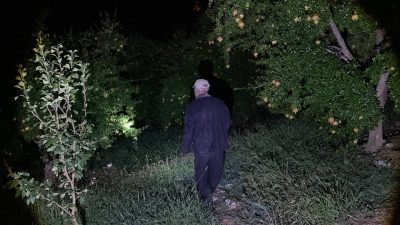 COĞRAFİ İŞARET İLE LEZZETİ TESCİLLİ KUYTUCAK NARINDA ÜRETİCİLER BAHÇELERİNE 1