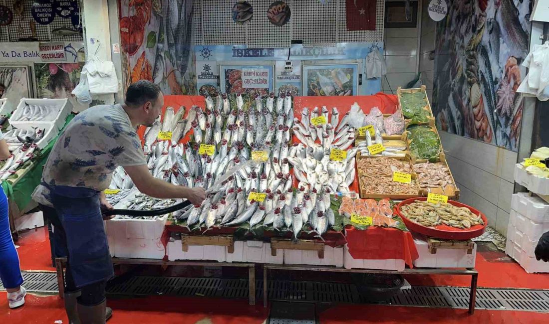 İSTANBUL’DA BALIK TEZGAHLARINDA PALAMUT BOLLUĞU YAŞANIYOR. PALAMUT FİYATLARI 100 LİRAYA