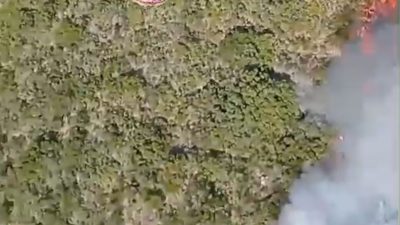 İZMİR’İN URLA İLÇESİNDE ÇIKAN ORMAN YANGININA HAVADAN VE KARADAN MÜDAHALE