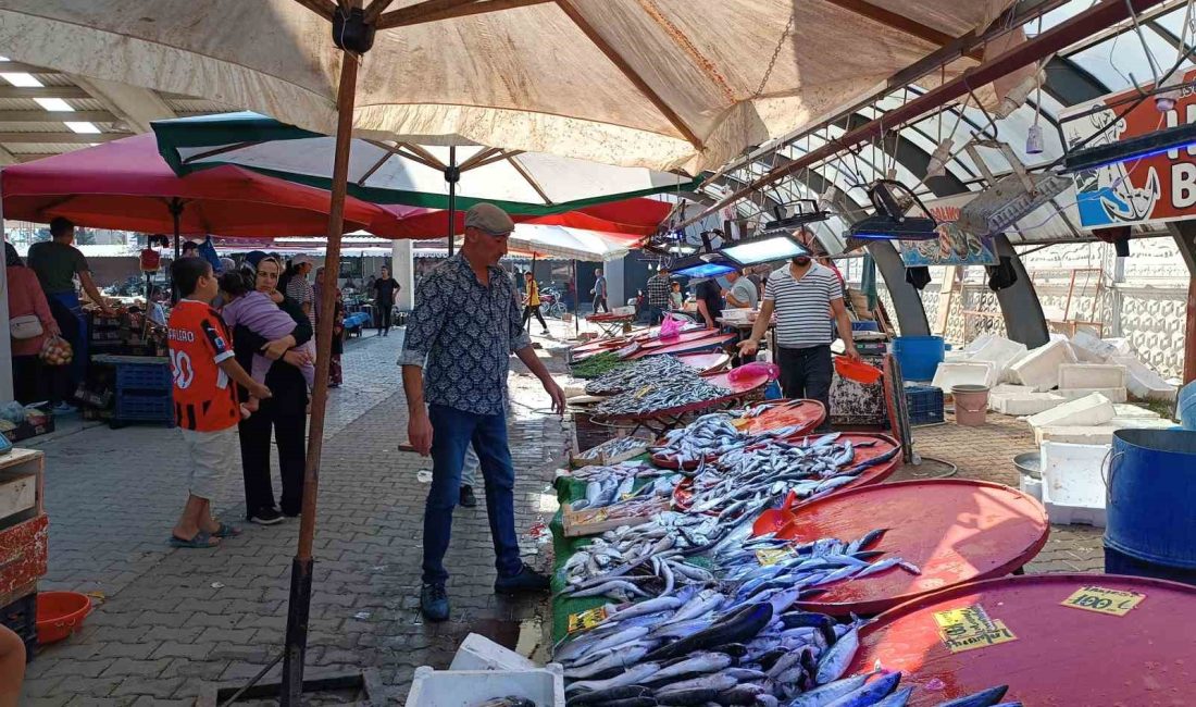 AV SEZONUN SONA ERMESİYLE BİRLİKTE AFYONKARAHİSAR’DAKİ TEZGAHLAR BALIKLA DOLUP TAŞARKEN