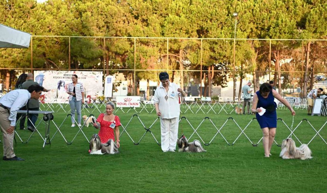 KUŞADASI BELEDİYESİ'NİN KATKILARIYLA KÖPEK IRKLARI VE KİNOLOJİ FEDERASYONU (KIF) TARAFINDAN