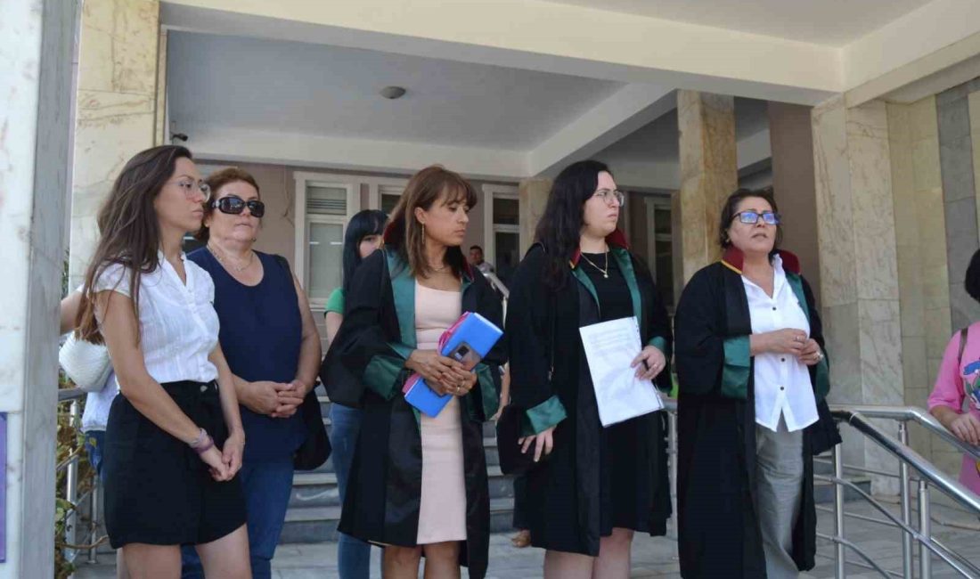 MANİSA'NIN SALİHLİ İLÇESİNDE, EVLERİNİN MUTFAĞINA GİRDİĞİ İÇİN YAVRU KEDİLERİ FIRÇA