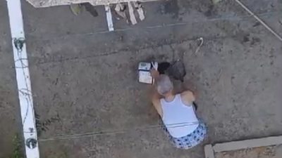 MANİSA'NIN SALİHLİ İLÇESİNDE, EVLERİNİN MUTFAĞINA GİRDİĞİ İÇİN YAVRU KEDİLERİ FIRÇA