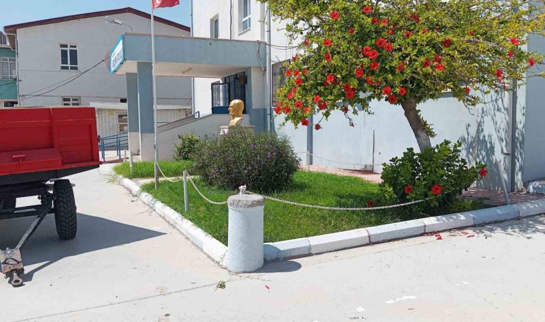 CADDE, SOKAK, PARK, BAHÇE VE SAHİLLERİ DİDİK DİDİK EDİP HER