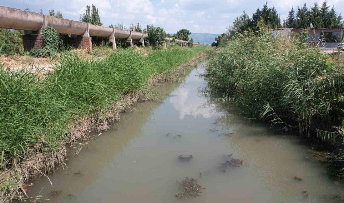 BURSA'NIN KESTEL İLÇESİNDE FABRİKA ATIKLARININ SALNDIĞI İDDİA EDİLEN SERME DERESİ