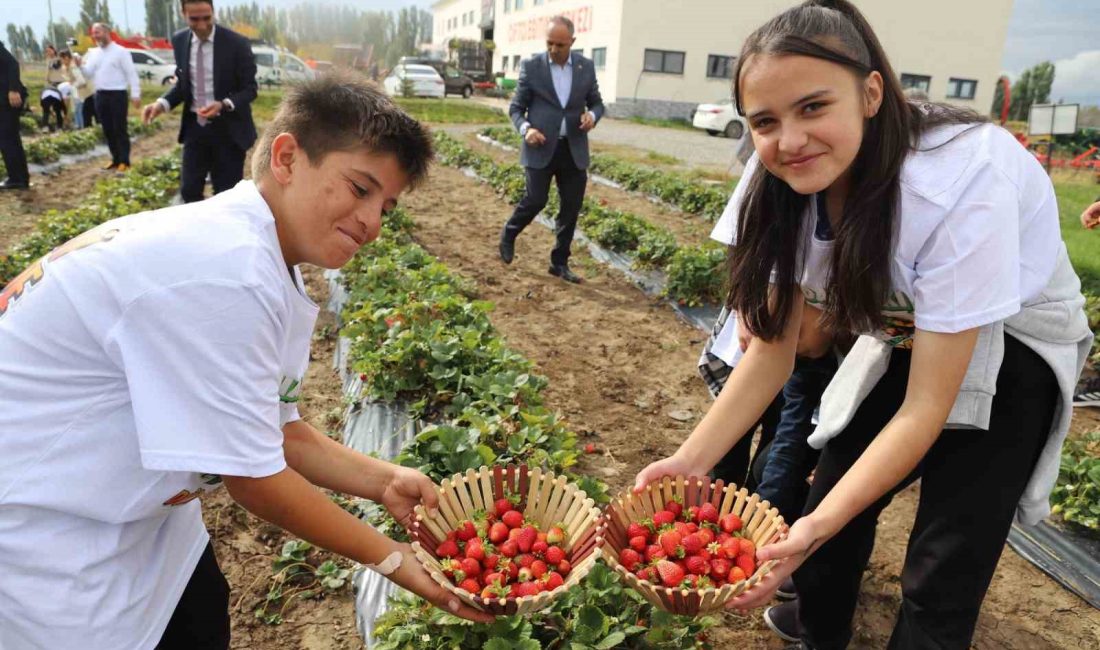 16 EKİM DÜNYA GIDA GÜNÜ'NDE BİR ARAYA GELEN ÖĞRENCİLER HASAT