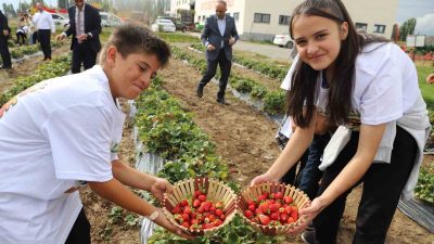 16 EKİM DÜNYA GIDA GÜNÜ'NDE BİR ARAYA GELEN ÖĞRENCİLER HASAT