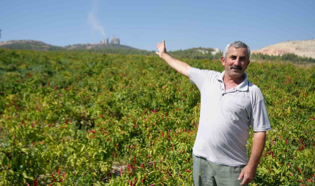ÇUKURÖREN KÖYÜ MUHTARI MUHİTTİN DÜNDAR, DAHA ÖNCEDEN DE BİLECİK ÇEVRE,