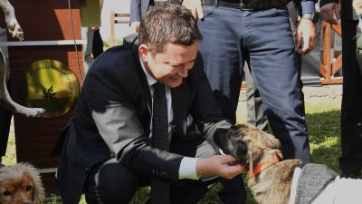 Osmangazi Belediyesi, 4 Ekim Dünya Hayvanları Koruma Günü için kutlama