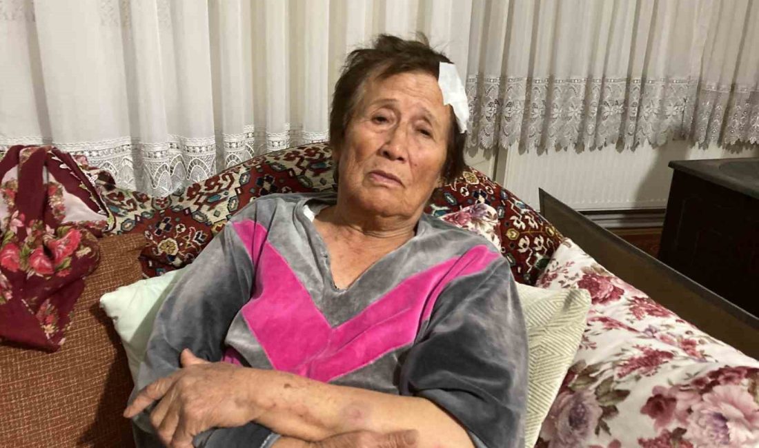 AFYONKARAHİSAR’DA 66 YAŞINDAKİ BİR KADIN BAHÇESİNE GİREN KÖPEKLER YÜZÜNDEN TARTIŞTIĞI