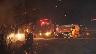 ADANA’DA ORMANLIK ALANDA ÇIKAN YANGIN ŞİDDETLİ RÜZGAR NEDENİYLE BÜYÜDÜ. YERLEŞİM