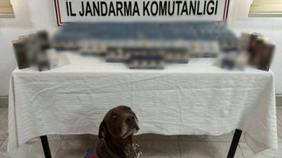 AĞRI'DA KAÇAKÇILIK OPERASYONU