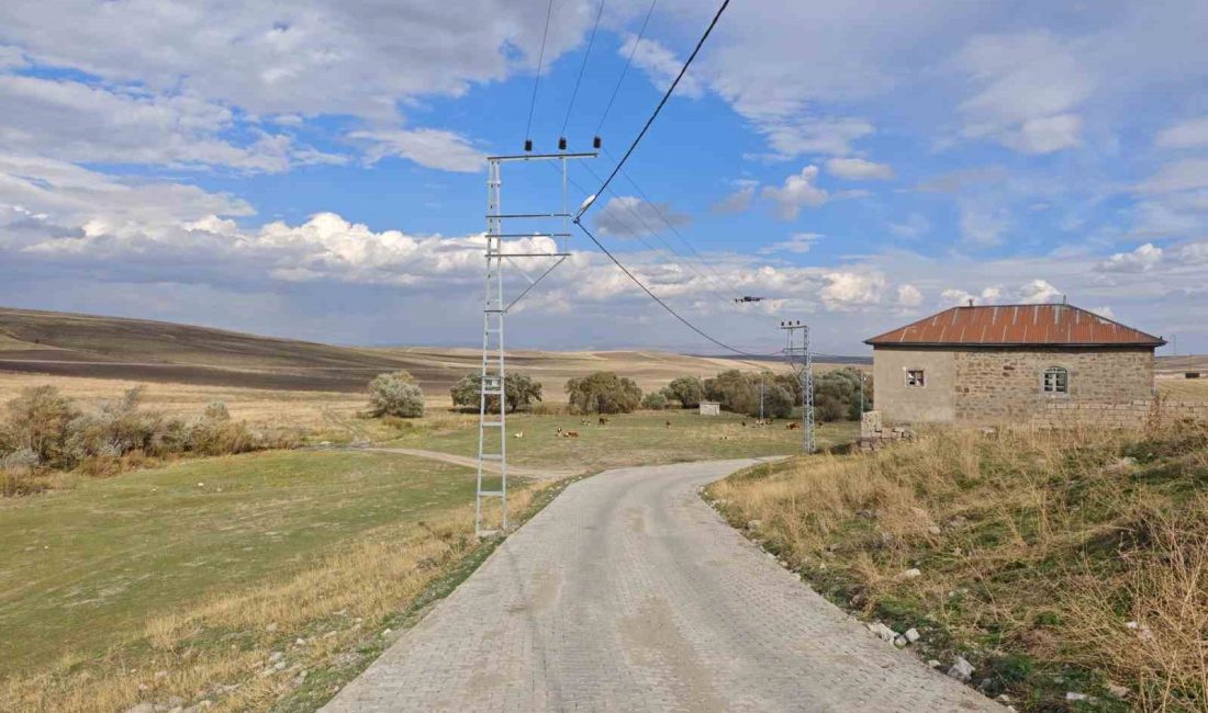 AĞRI VALİLİĞİ, İL MERKEZİ VE DİYADİN İLÇESİNE BAĞLI KÖYLERDE BAŞLATTIĞI