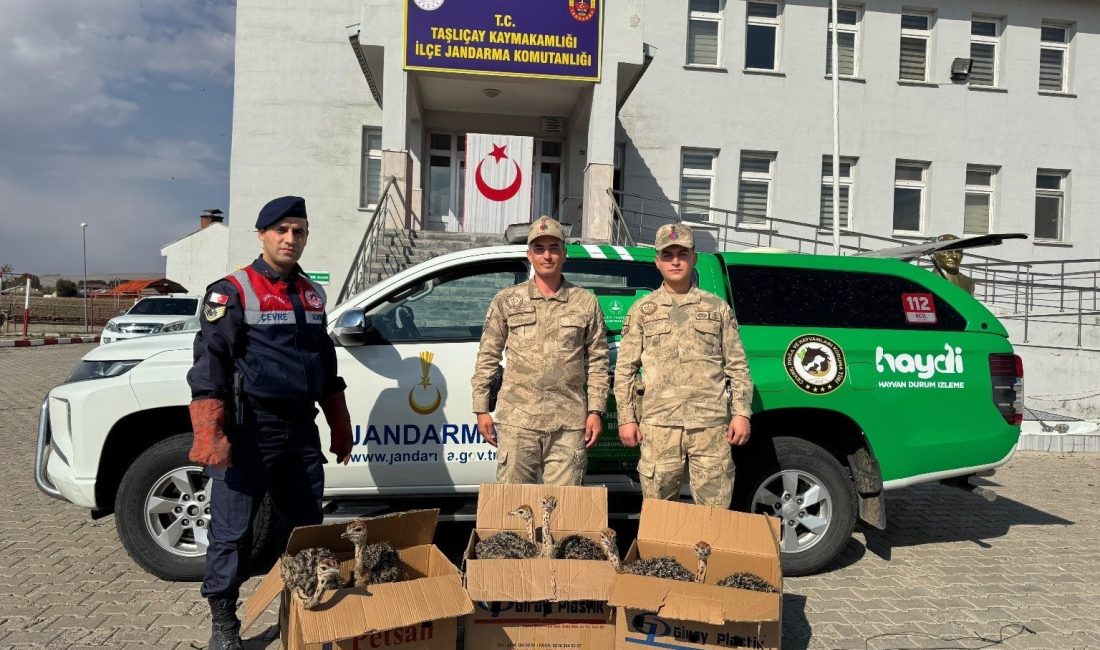 AĞRI İL JANDARMA KOMUTANLIĞI EKİPLERİNCE, TAŞLIÇAY İLÇESİNDE YAPILAN YOL KONTROL