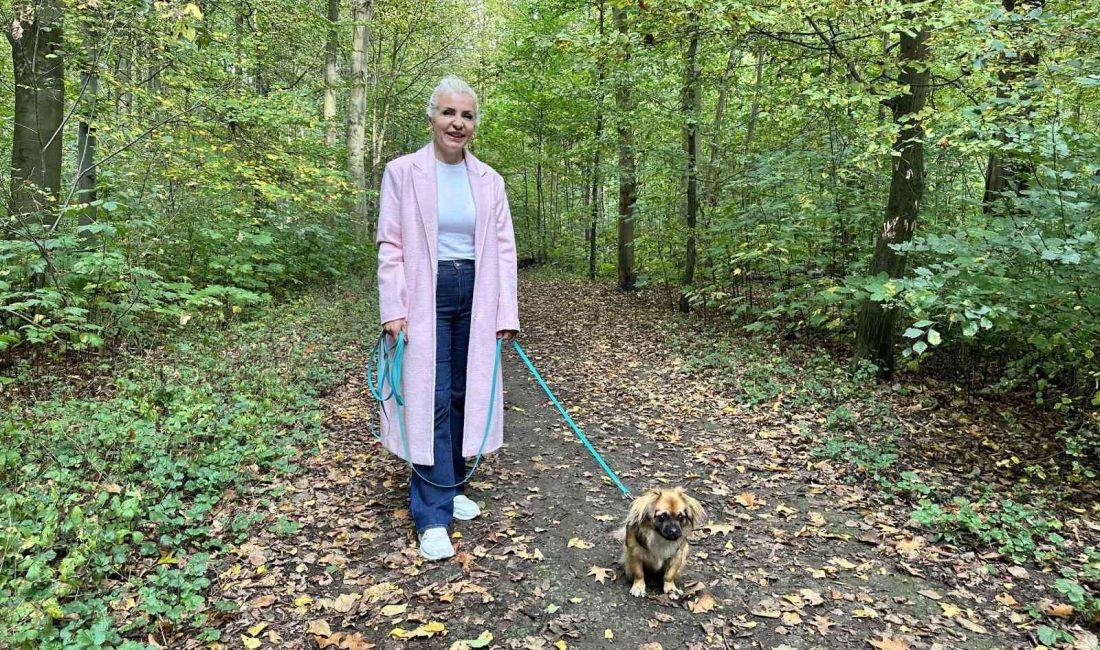 ALMANYA’DA KÖPEK SAHİPLERİ HER YIL VERGİ VERİYOR
