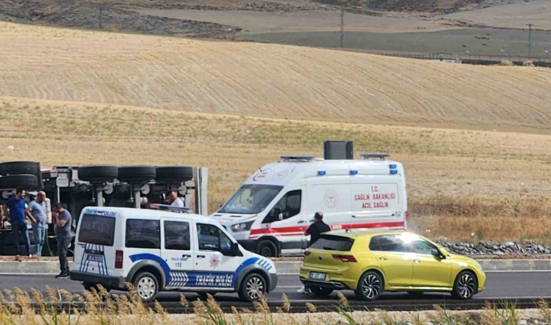HAYMANA'DA KONTROLDEN ÇIKAN KUZU YÜKLÜ TIRIN DEVRİLMESİ SONUCU ÇOK SAYIDA