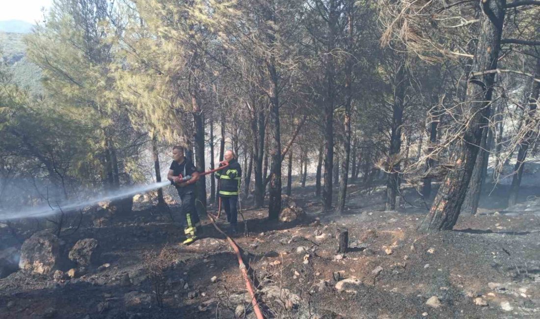 HATAY’DA ORMANLIK ALANDA ÇIKAN YANGIN, EKİPLERİN HIZLI MÜDAHALESİYLE BÜYÜMEDEN SÖNDÜRÜLDÜ.