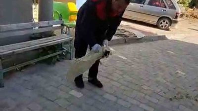 AFYONKARAHİSAR’DA APARTMAN BOŞLUĞUNA DÜŞEN YAVRU KEDİYİ İTFAİYE KURTARDI