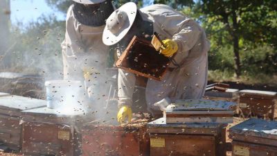 ARILI KOVAN DESTEKLEMELERİNDE SON GÜN