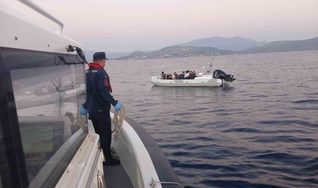 AYDIN (İHA) - AYDIN'IN KUŞADASI VE DİDİM İLÇELERİ AÇIKLARINDA YAPILAN