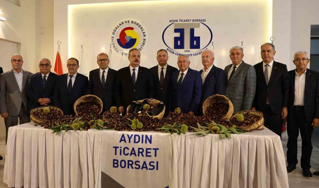 TÜRKİYE'NİN EN FAZLA VE EN KALİTELİ KESTANE ÜRETİMİNİN GERÇEKLEŞTİRİLDİĞİ AYDIN'DA