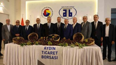 TÜRKİYE'NİN EN FAZLA VE EN KALİTELİ KESTANE ÜRETİMİNİN GERÇEKLEŞTİRİLDİĞİ AYDIN'DA