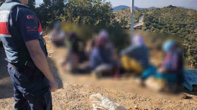 AYDIN'IN GERMENCİK İLÇESİNDE BİR BAHÇEDEN İNCİR HIRSIZLIĞI YAPAN 9 ŞÜPHELİ