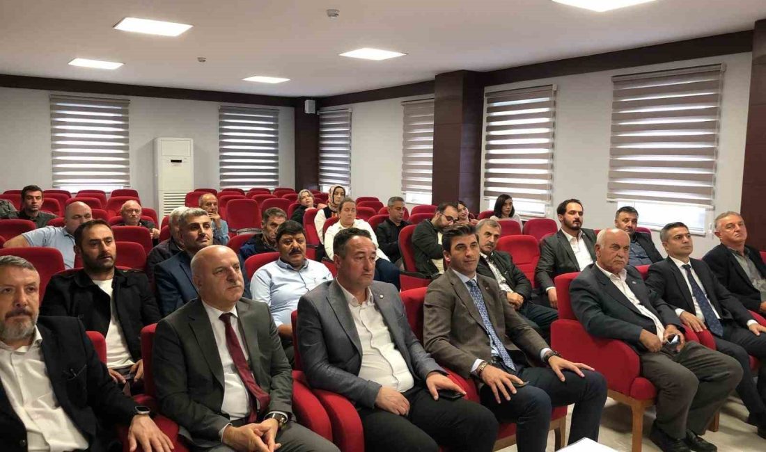 BAFRA'DA KAHVERENGİ KOKARCA İLE MÜCADELEYE START VERİLDİ