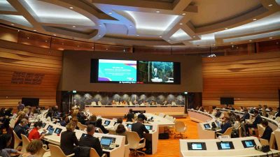 AİLE VE SOSYAL HİZMETLER BAKANI MAHİNUR ÖZDEMİR GÖKTAŞ, İSRAİL'İN, FİLİSTİN