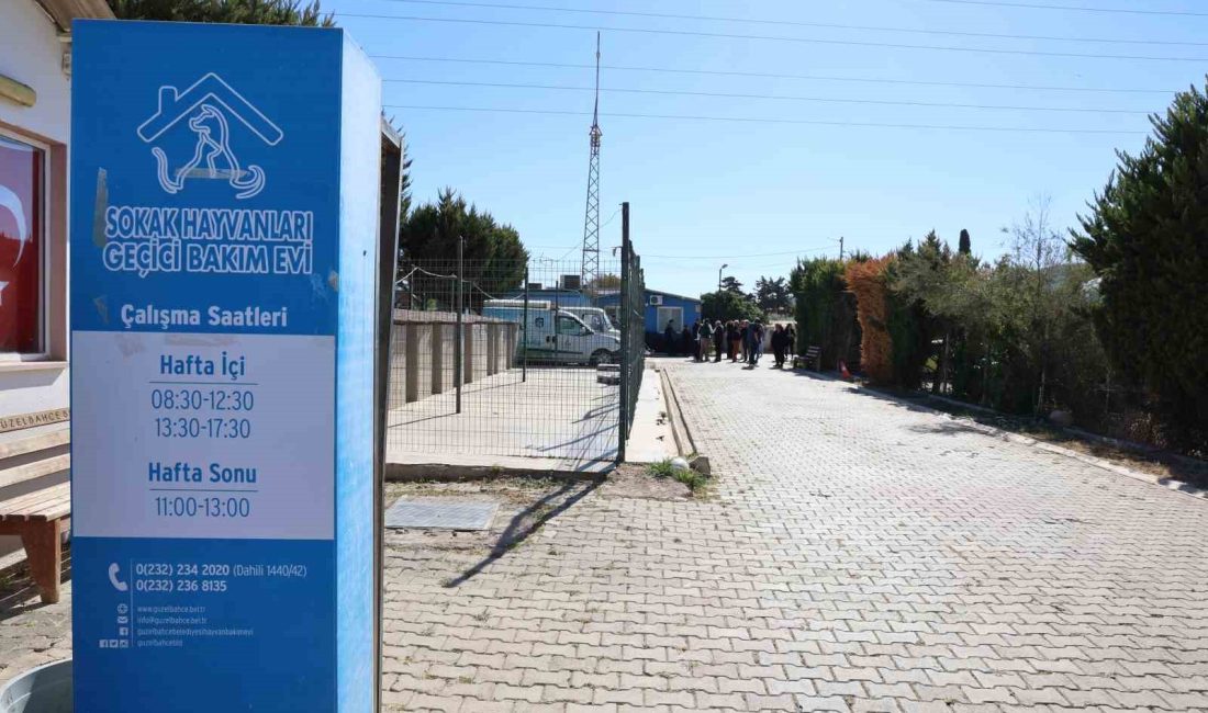 GÜZELBAHÇE HAYVAN BARINAĞINDA, 40 KÖPEK VE 25 KEDİNİN BAKIMLARI YAPILIYOR.