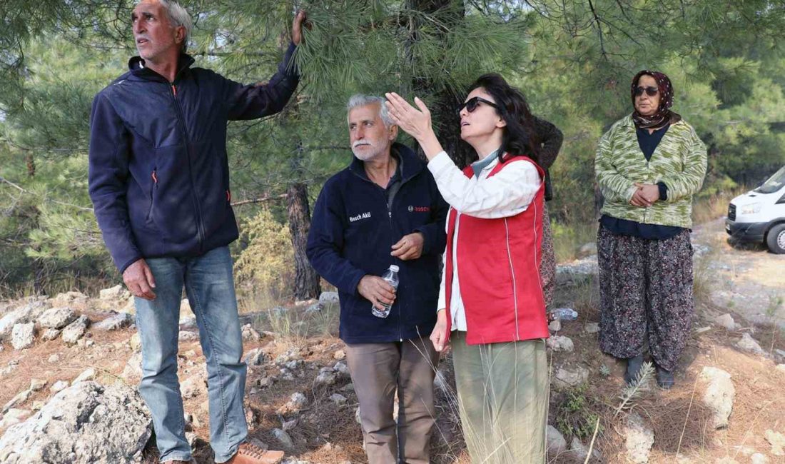 BAŞKAN KÖKSAL, “EKİPLERİMİZ SÖNDÜRME ÇALIŞMALARINA DESTEK VERMEYE DEVAM EDİYOR”