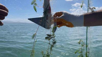 KONYA’NIN BEYŞEHİR İLÇESİNDE, BEYŞEHİR GÖLÜ’NDE BALIK AVI YAPAN TİCARİ RUHSATLI