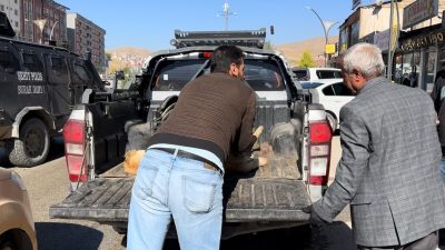 HAKKARİ’NİN YÜKSEKOVA İLÇESİNDE BİTKİN DÜŞEN KÖPEK, BELEDİYE EKİPLERİ TARAFINDAN TEDAVİ