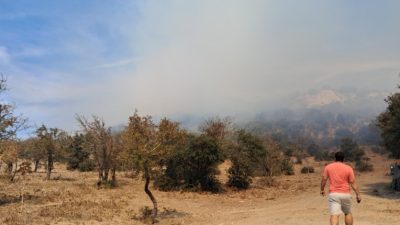 MUĞLA’NIN BODRUM İLÇESİNDE AĞAÇLIK ALANDA ÇIKAN YANGIN, HAVADAN VE KARADAN