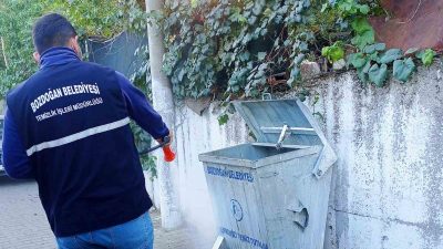 BOZDOĞAN BELEDİYESİ, ŞEHİR GENELİNDE ÇEVRE TEMİZLİĞİNİ VE HALK SAĞLIĞINI KORUMAYA