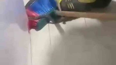 HATAY’DA EVE GİREREK BUZDOLABININ ALTINA SAKLANAN YILANI İTFAİYE EKİPLERİ YAKALADI.