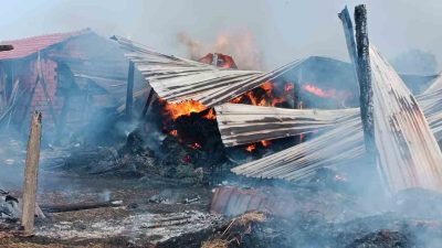 ÇANAKKALE'NİN ÇAN İLÇESİNE BAĞLI ETİLİ KÖYÜNDE SAMANLIKTA ÇIKAN YANGINDA BİN