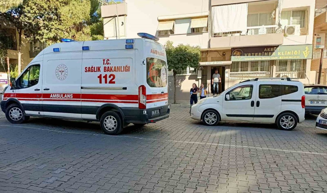 AYDIN'IN EFELER İLÇESİNDE CUMHURİYET HALK PARTİSİ (CHP) AYDIN ESKİ İL