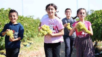 ELAZIĞ'IN BAĞLARINDA SÜREN ÜZÜM HASADINA ÇOCUKLAR ADETA RENK KATIYOR. ÜZÜM