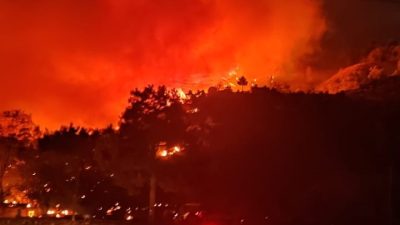 DALAMAN ORMAN YANGINI RÜZGARLA BİRLİKTE BÜYÜDÜ