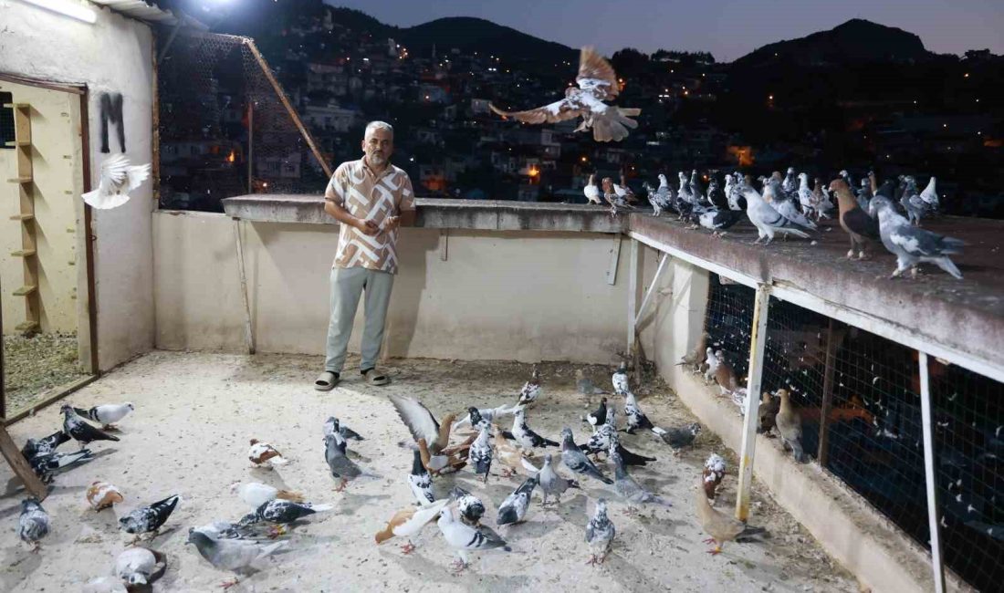 HATAY’IN ANTAKYA İLÇESİNDE GÜVERCİN BESLEYEN 47 YAŞINDA OLAN SERDAL TECİMEN,