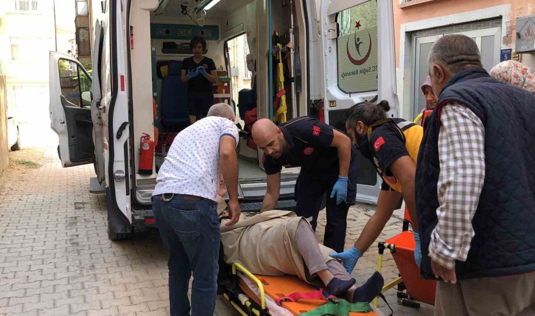 ELAZIĞ’DA HAFİF TİCARİ ARACIN ÇARPTIĞI YAŞLI KADIN, YARALANDI.
