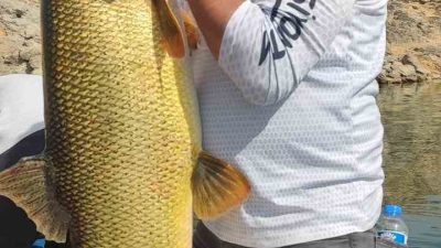 ELAZIĞ’DA SPORTİF OLTA BALIKÇISININ AĞINA 38 KİLOLUK DEV FIRAT TURNASI