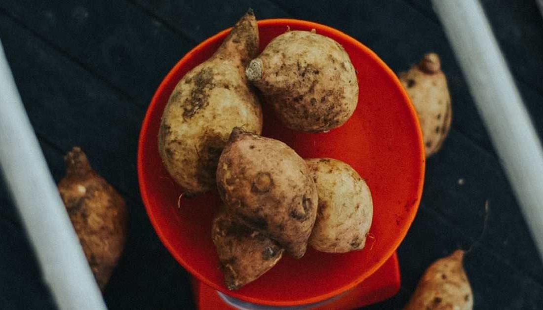 ERZİNCAN’DA YENİ ÜRÜN İÇİN DEMONSTRASYON ALANI KURULDU