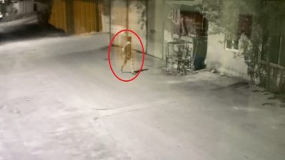 ANTALYA’NIN SERİK İLÇESİNDE BİR KİŞİ ESKİ ÇALIŞTIĞI İŞ YERİNE GELEREK