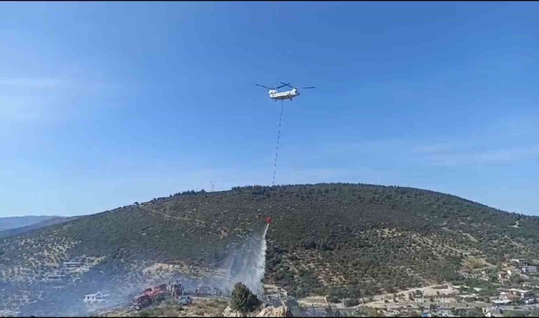 FOÇA İLÇESİNDE BİR TESİSTE ÇIKAN YANGININ ORMANLIK ALANA SIÇRAMASI ÜZERİNE